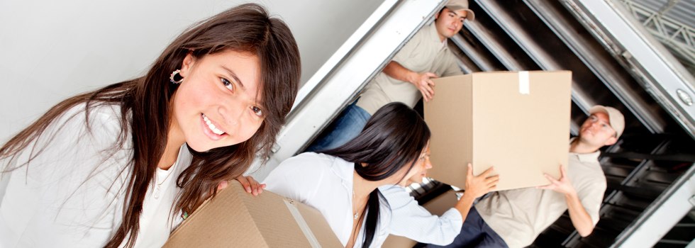 Professional Removalists Paratoo